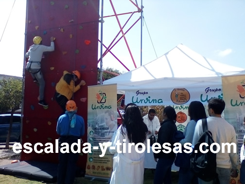 RENTA DE MURO DE ESCALADA